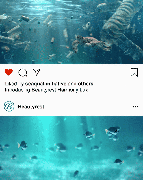 Beautyrest TurtleJump 4x5-high.gif