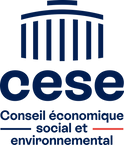 AVIS adopté par le Conseil économique et social au cours de sa séance du 11 avril 2001