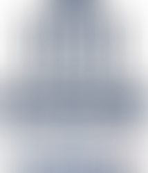 AVIS adopté par le Conseil économique et social au cours de sa séance du 11 avril 2001