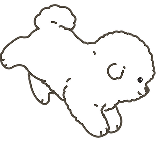 outlined-white-bichon-frise-jumping-211173707.tif