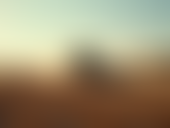 Troup Landscaping and Preparation: Springfield's Site Prep Experts