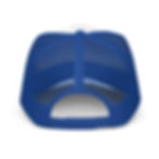 Thumbnail: Foam trucker hat