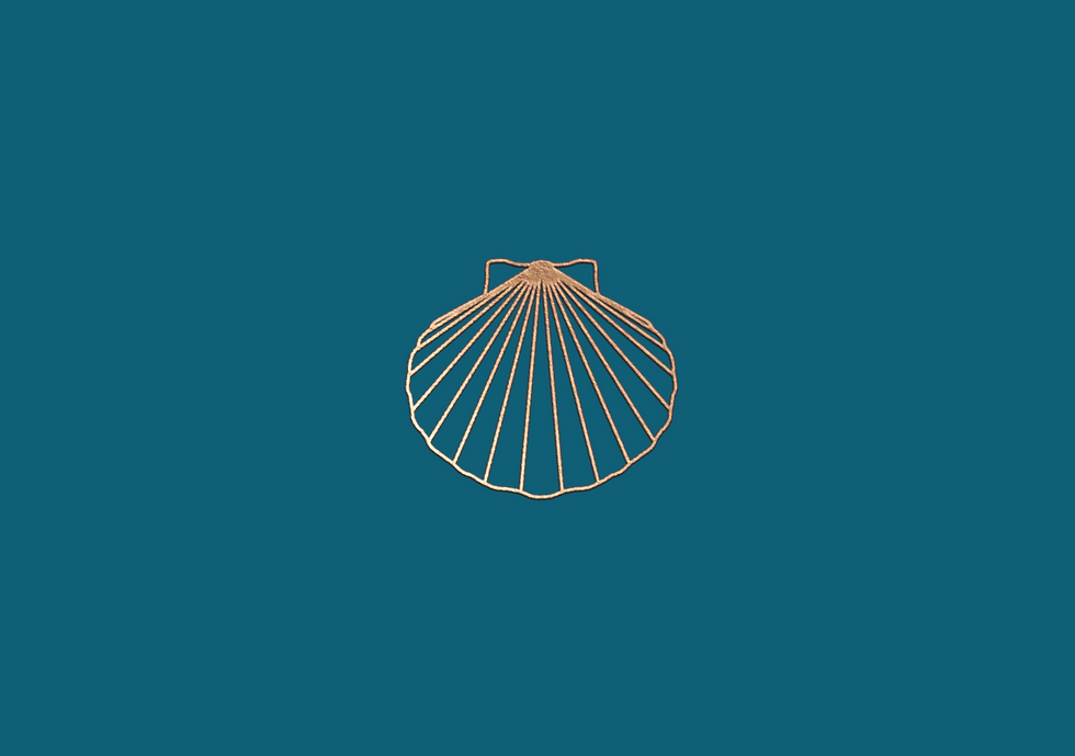 Branding para Pilar de la Vega Joyas