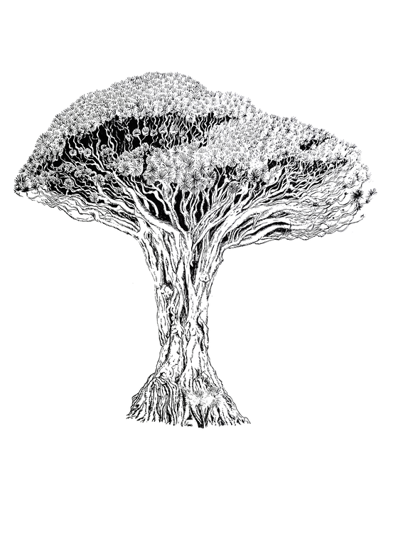 Arbol drago canario by cri cri studio