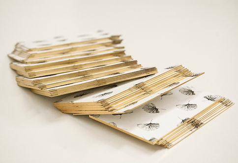 business_card_design_branding_cri_cri_studio