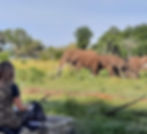 WhatsApp Image 2025-05-22 at 16.14.21.jpeg