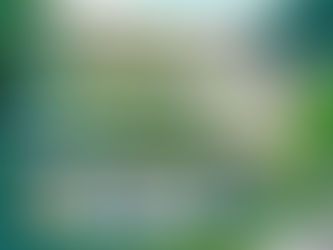 Poukázanie na problémový zvierací útulok