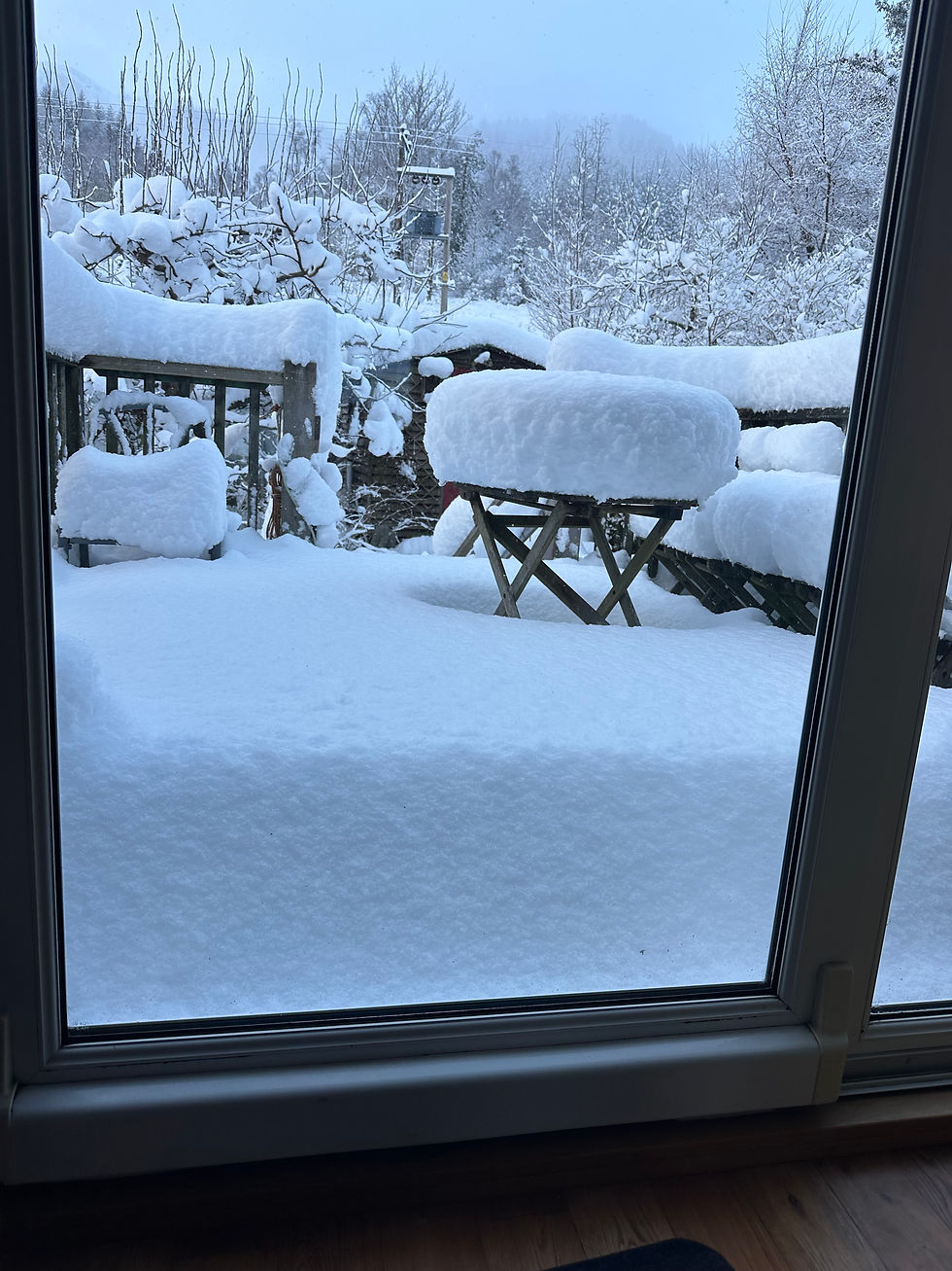 Outside my studio window