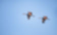 AdobeStock_386534477.jpeg