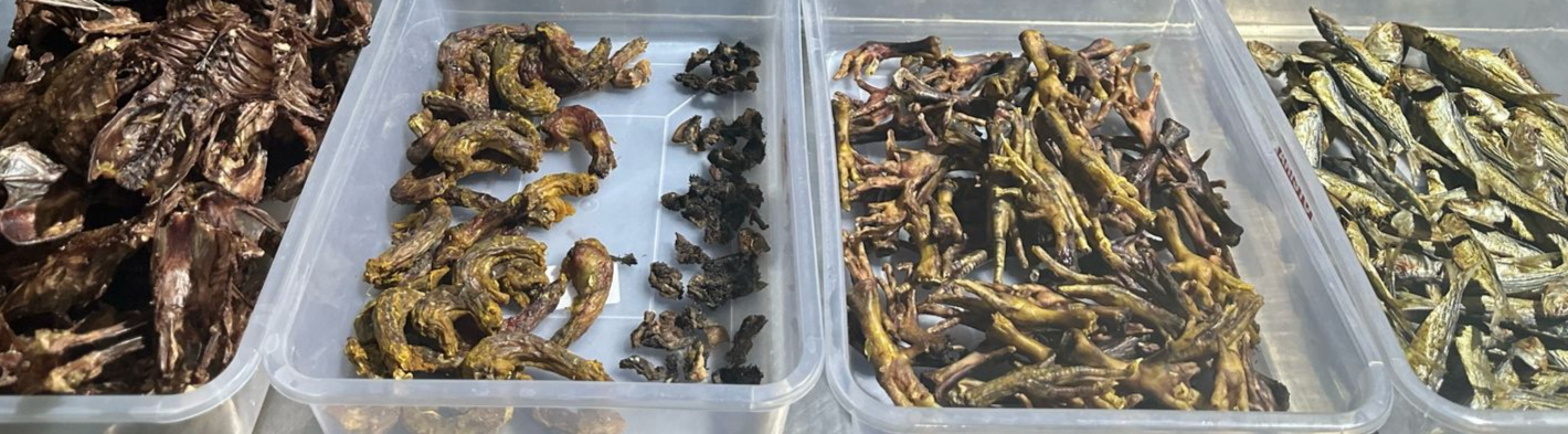 Arranged Food and Objects