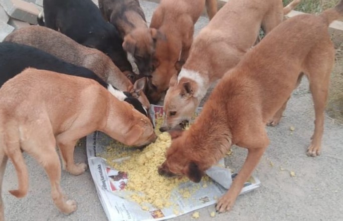 Arranged Food and Objects