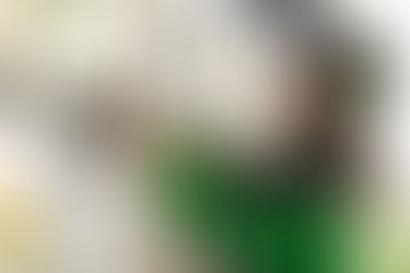 Juvo Jobs Announces New Memberships to Support Trucking Communities Nationwide