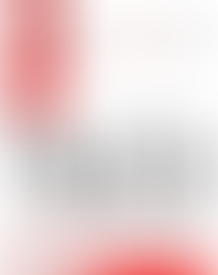 Success is Mindset so Start with "No"