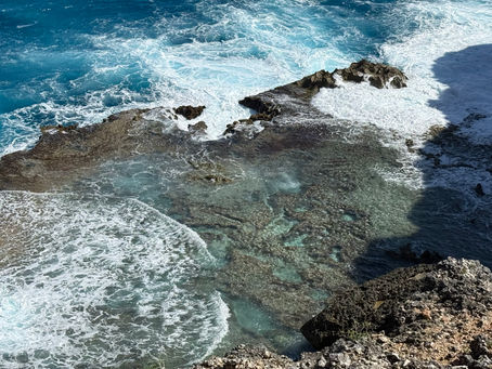 Inspiration für meine Kreativität - Urlaub auf Guadeloupe 