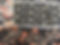 DSCN0527.JPG