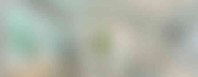 A light-filled kitchen features a fridge, sink and dishwasher.