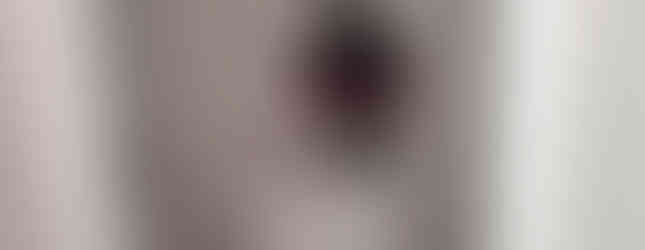 A water closet with a toilet.