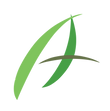 foundation-image_edited.png