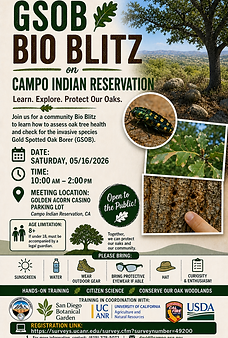 BIO BLITZ Flyer2.png