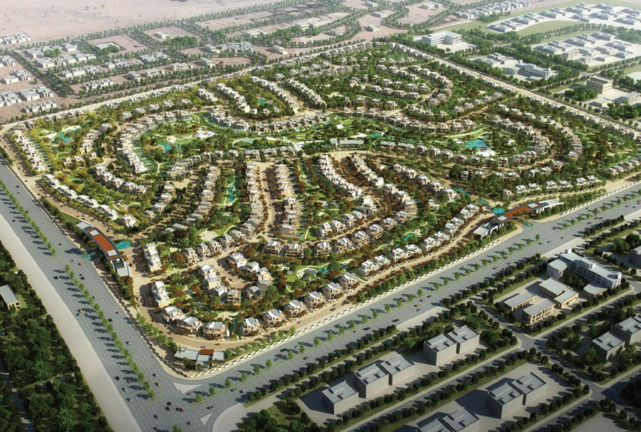 sodic new zayed