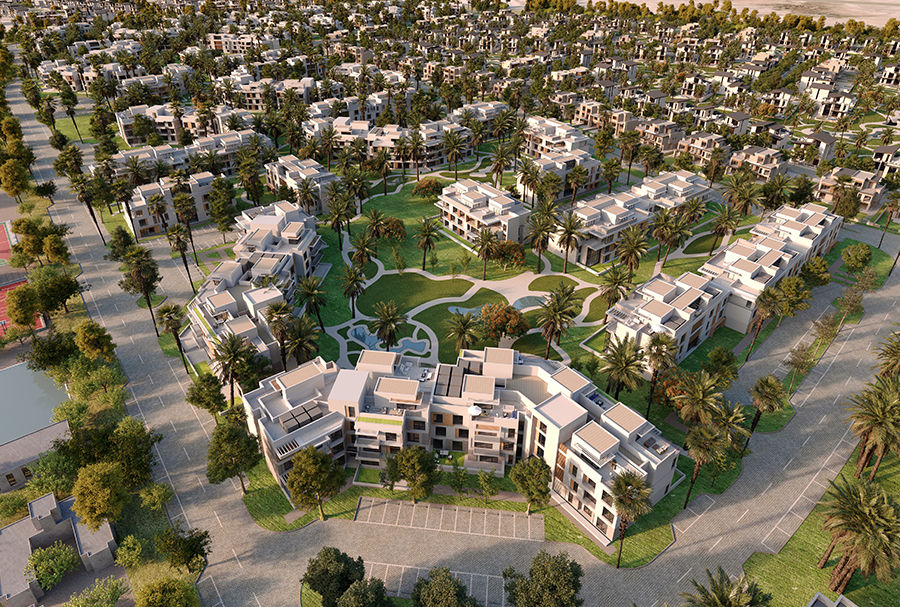 sodic new zayed