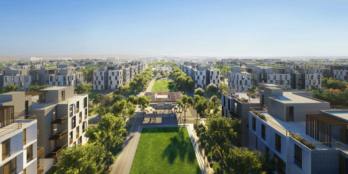 sodic new zayed