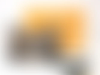 ブーローニュNM