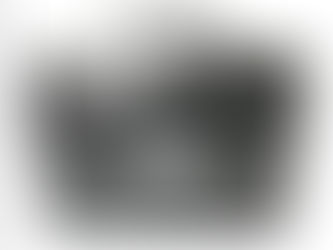 ロブスト１　エピノワール