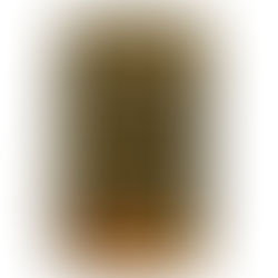 金（ゴールド）インゴット 50g