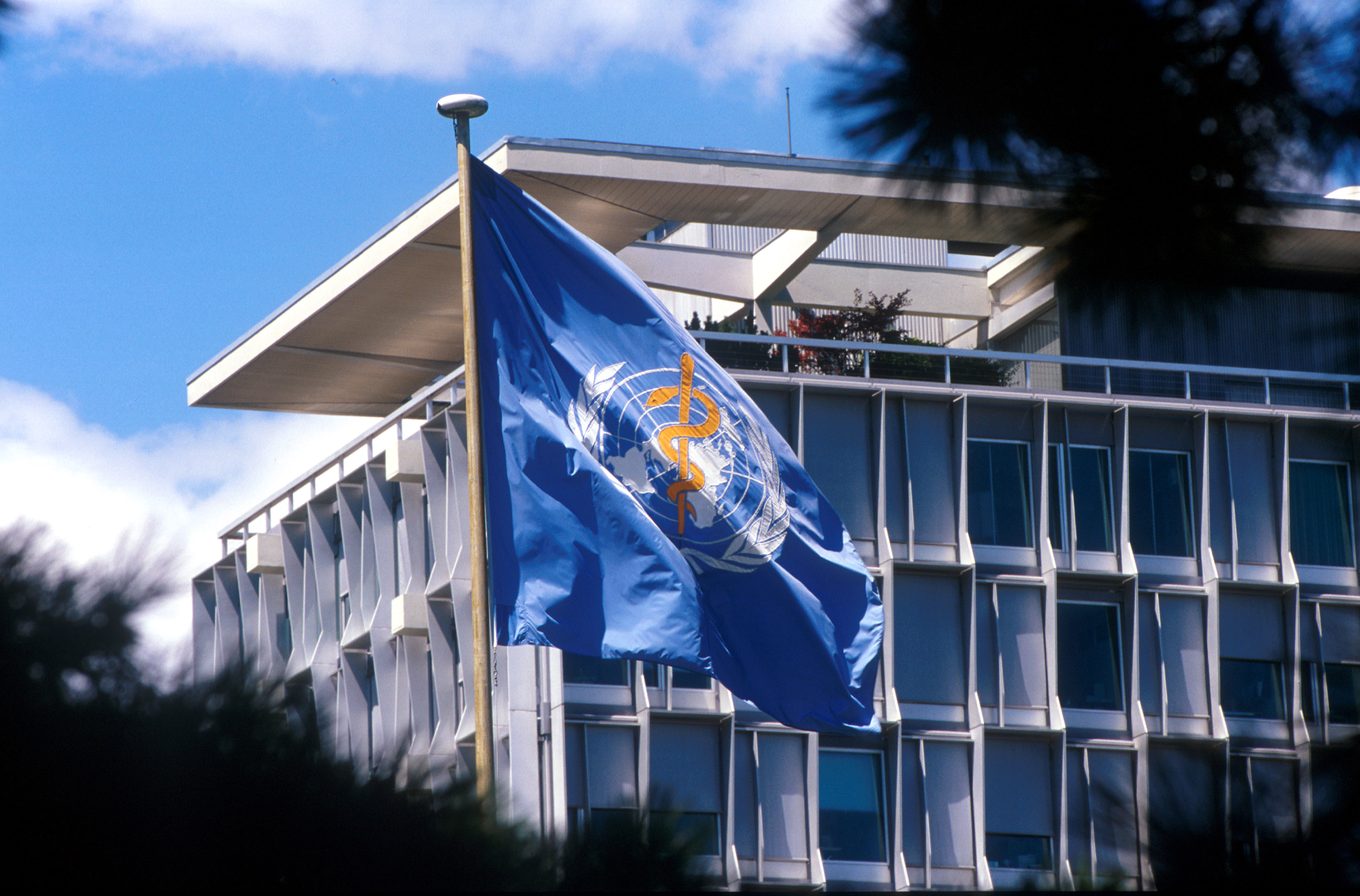 WHO unveils sweeping reforms