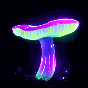 purple_green_mushroom_fixed_boomerang2.gif