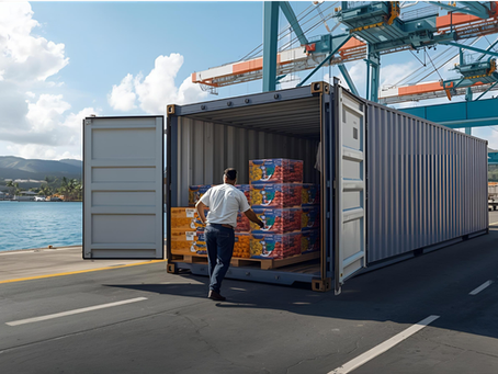 Rising Shipping Costs and Tourism Uncertainty: What Businesses Need to Do Now