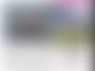 The Rider magazine features Lynn!