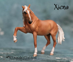 LCC18364xiena.jpg