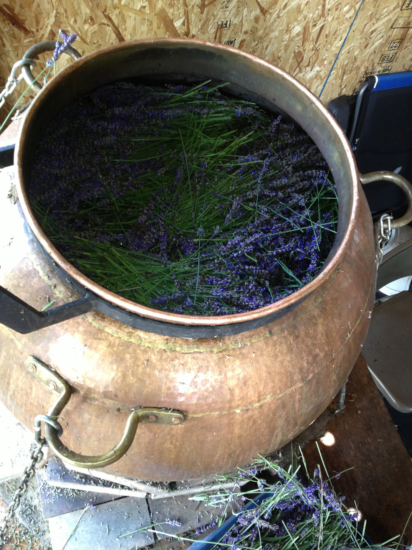 UNCOMMON YARROW Lavender Hydrosol distilled in copper alembic stills