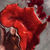 Thumbnail: Red Mahogany