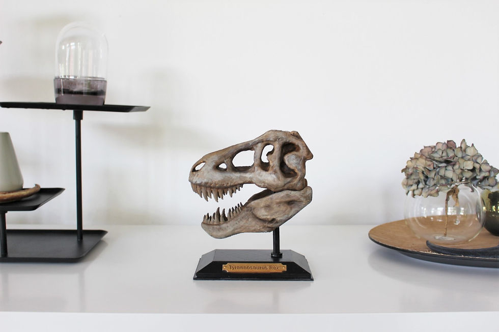 Miniaturbild: Tyrannosaurus-Rex Skulptur