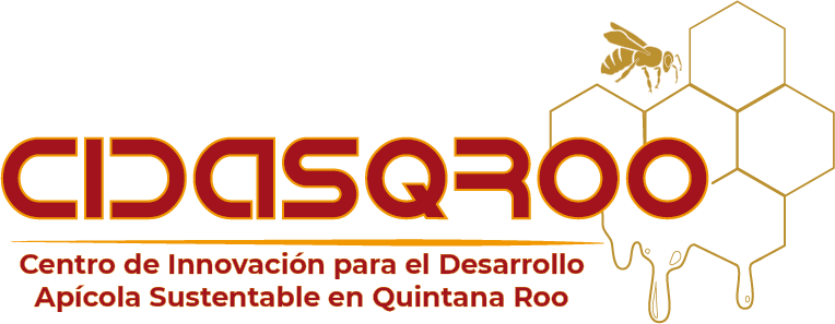 LOGO CIDASQROO .png