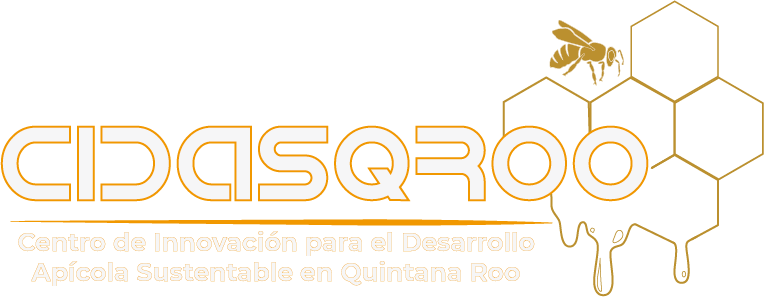 LOGO CIDASQROO BLANCO.png