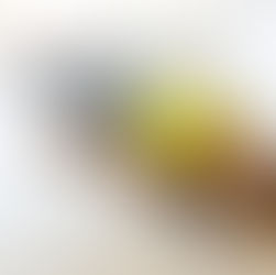 Pratique du Yoga Nidra : installation en posture de Shavasana