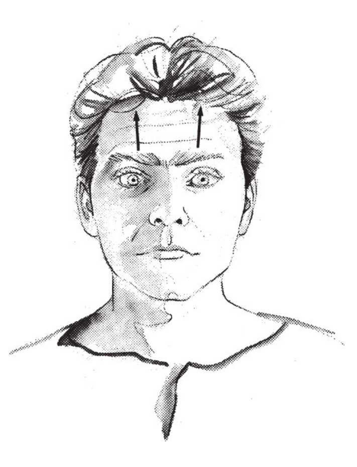 Examples of Facial Exercises