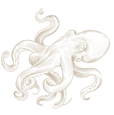 pulpo