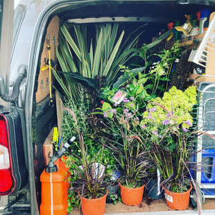 Plant shopping :)