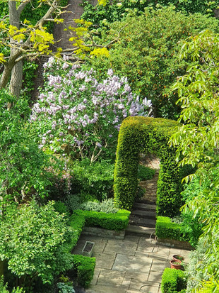 A Stockwell Garden