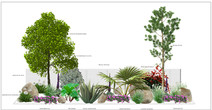 3D imagery