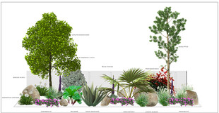 3D imagery