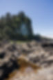 3604_BCF_July_2024.jpg