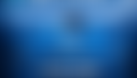 CSH10 OMNI- SONAR UPDATE