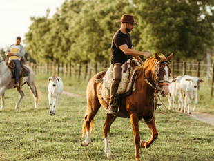 BSE – Prórroga de vencimientos del Seguro de Accidentes de Trabajo Rural