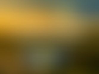 Valores de semovientes, lana y cultivos en proceso al 30 de junio 2025